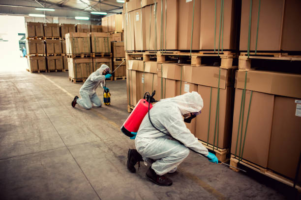 Best Pest Inspection Near Me  in Bradford, OH