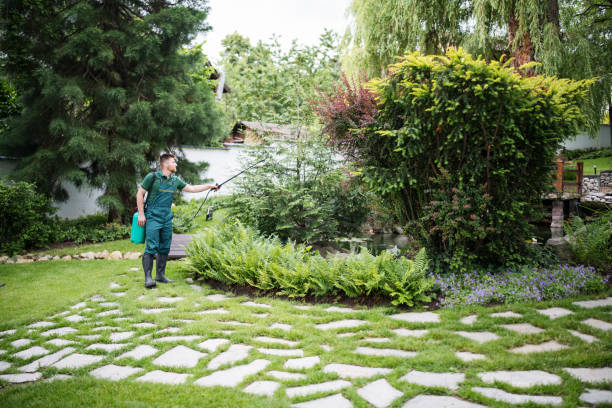 Best Affordable Pest Control Services  in Bradford, OH