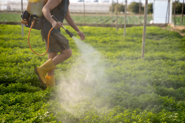 Best Wasp Removal Services  in Bradford, OH
