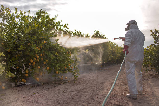Best Mosquito Control Services  in Bradford, OH
