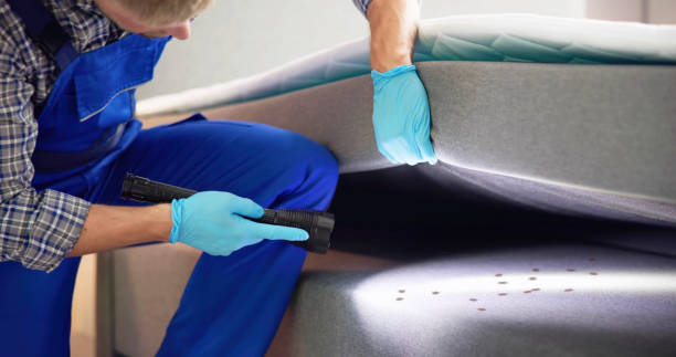 Best Bed Bug Extermination  in Bradford, OH