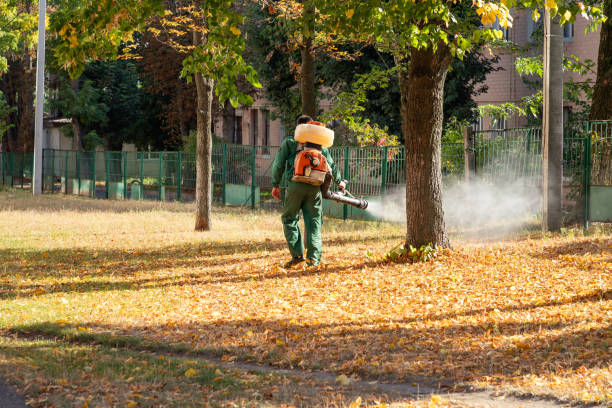 Best Local Pest Control Services  in Bradford, OH