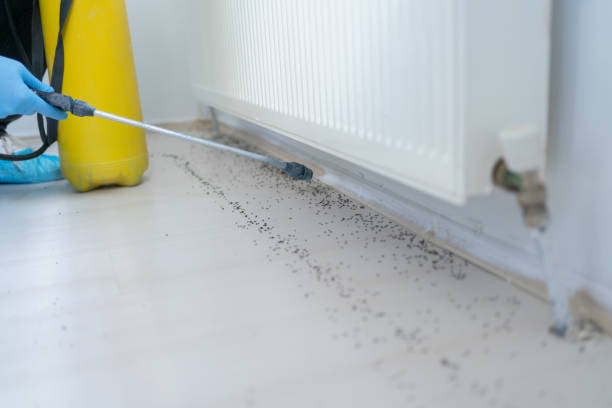 Best Pest Removal Services  in Bradford, OH