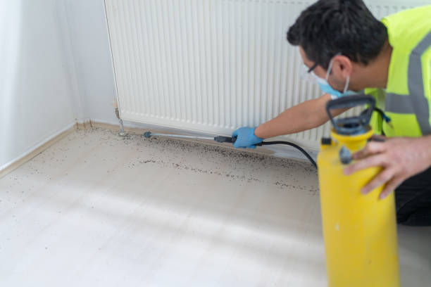 Best Rat Extermination Near Me  in Bradford, OH