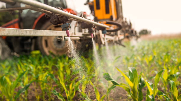 Best Ant Control Services  in Bradford, OH